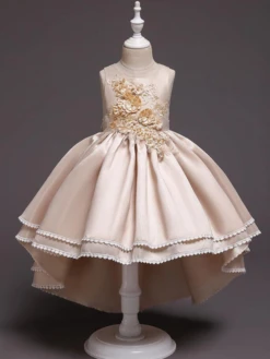 Always Elegant Embellished Hi-Lo Formal Dress