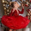 Glitter Diva Ruffle Skirt Special Occasion Dress -MEO Kid Clothing Shop 1Reizing 20for 20listings 20 37