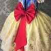 Snow White Vibes Lace Embroidered Princess Dress -MEO Kid Clothing Shop 3 H38da5c5c3ee545be8a73d3ef6e35177eP 3204e1ad 23a9 4717 bcbe ee71aef4ce15