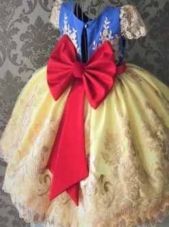 Snow White Vibes Lace Embroidered Princess Dress