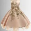 Regal Beauty Embellished Princess Dress