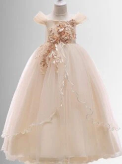 Regal Beauty Embellished Princess Gown