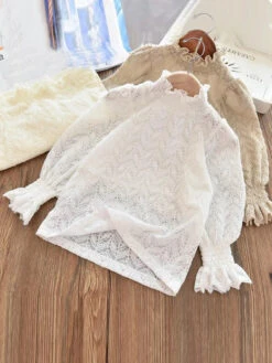 Delicately Yours Balloon Sleeve Lace Top