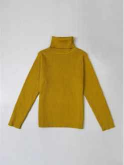 Basic Turtle Neck Sweater 11 Basic Turtle Neck Sweater -MEO Kid Clothing Shop BasicTurtleNeckSweater 1