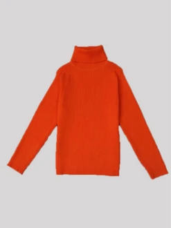 Basic Turtle Neck Sweater 10 Basic Turtle Neck Sweater -MEO Kid Clothing Shop BasicTurtleNeckSweater 4