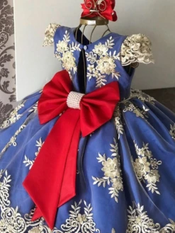 Embellished Beauty Embroidered Princess Dress