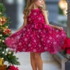 Snowflake Sleeveless Formal Winter Dress -MEO Kid Clothing Shop DSC00504