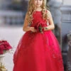 Royal Glow Sheer Collar Ball Gown -MEO Kid Clothing Shop DSC03388