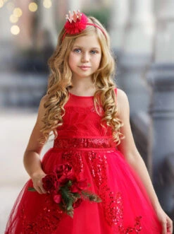 Royal Glow Sheer Collar Ball Gown 15 Royal Glow Sheer Collar Ball Gown -MEO Kid Clothing Shop DSC03394