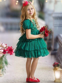 Royal Shimmer Chiffon Princess Dress -MEO Kid Clothing Shop DSC03657
