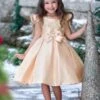 Precious Darling Embroidered Princess Dress -MEO Kid Clothing Shop GCDRA006 Gold 10