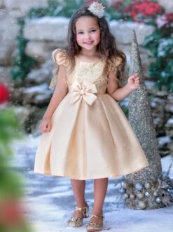 Precious Darling Embroidered Princess Dress -MEO Kid Clothing Shop GCDRA006 Gold 11