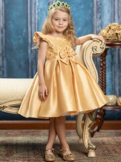 Precious Darling Embroidered Princess Dress -MEO Kid Clothing Shop GCDRA006 Gold 19
