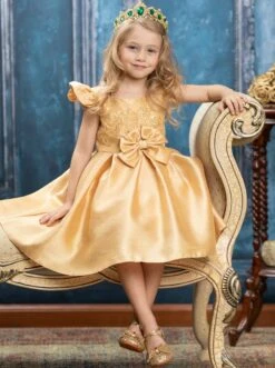 Precious Darling Embroidered Princess Dress -MEO Kid Clothing Shop GCDRA006 Gold 24