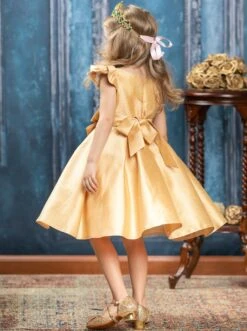 Precious Darling Embroidered Princess Dress -MEO Kid Clothing Shop GCDRA006 Gold 6