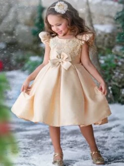 Precious Darling Embroidered Princess Dress -MEO Kid Clothing Shop GCDRA006 Gold 8