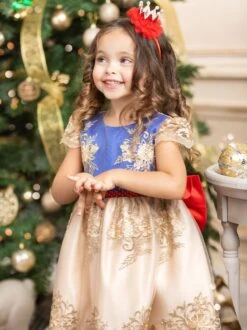 Snow White Vibes Lace Embroidered Princess Dress -MEO Kid Clothing Shop GCDRA007 Yellow 1