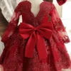 Lovely Little Miss Backless Lace Dress -MEO Kid Clothing Shop Reizingforlistings 2 564
