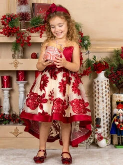 Sheer Collar Red Embroidered Hi-Lo Dress -MEO Kid Clothing Shop WIN81DR9CARB 1 70fd2843 8692 40ea b49a 8bd42414ae53