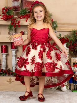 Sheer Collar Red Embroidered Hi-Lo Dress -MEO Kid Clothing Shop WIN81DR9CARB 3 cce57f08 7bbb 4f15 8876 65a554ec5c2d