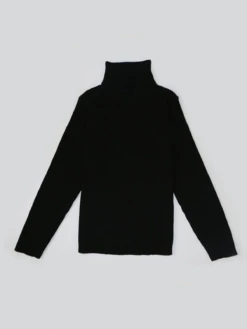 Basic Turtle Neck Sweater