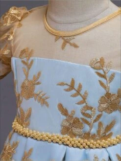 Golden Princess Floral Lace Sheer Dress 11 Golden Princess Floral Lace Sheer Dress -MEO Kid Clothing Shop girls floral lace embroidery beaded dress 20 39 99 10y12y 2t3t 4t5y 6y6x spring dressy mia belle baby overseas fulfillment 529