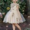 Champagne Dream Holiday Princess Dress 2 Champagne Dream Holiday Princess Dress -MEO Kid Clothing Shop girls off shoulder lace applique holiday dress 20 39 99 40 59 10y12y 2100 2t3t fall dressy mia belle baby 203