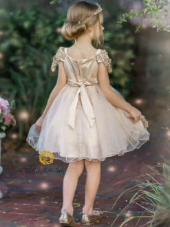 Champagne Dream Holiday Princess Dress -MEO Kid Clothing Shop girls off shoulder lace applique holiday dress 20 39 99 40 59 10y12y 2100 2t3t fall dressy mia belle baby 543