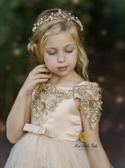 Champagne Dream Holiday Princess Dress -MEO Kid Clothing Shop girls off shoulder lace applique holiday dress 20 39 99 40 59 10y12y 2100 2t3t fall dressy mia belle baby 892