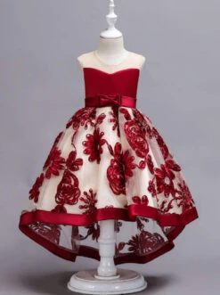 Sheer Collar Red Embroidered Hi-Lo Dress -MEO Kid Clothing Shop girls sleeveless embroidered chiffon hi low special occasion dress 20 39 99 40 59 2105 2t3t 4t5y fall dressy mia belle baby 277 1efb2dce 5e25 4861 96f2 ea3e3c45ac5a