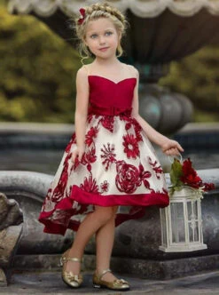 Sheer Collar Red Embroidered Hi-Lo Dress -MEO Kid Clothing Shop girls sleeveless embroidered chiffon hi low special occasion dress red 2t 20 39 99 40 59 2105 2t3t 4t5y fall dressy mia belle baby 813 71acea42 17d4 45b7 b5a2 fd46ec2e9e00