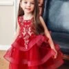 Floating On Air Embroidered Princess Tutu Dress -MEO Kid Clothing Shop girls sleeveless embroidered tutu princess holiday dress red 2t 20 39 99 40 59 2t3t 4t5y 6x6y fall dressy mia belle overseas fulfillment baby 420 2f86013c c3a5 48a1 baf5 896e448b7c75