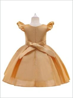 Precious Darling Embroidered Princess Dress -MEO Kid Clothing Shop halloween 16