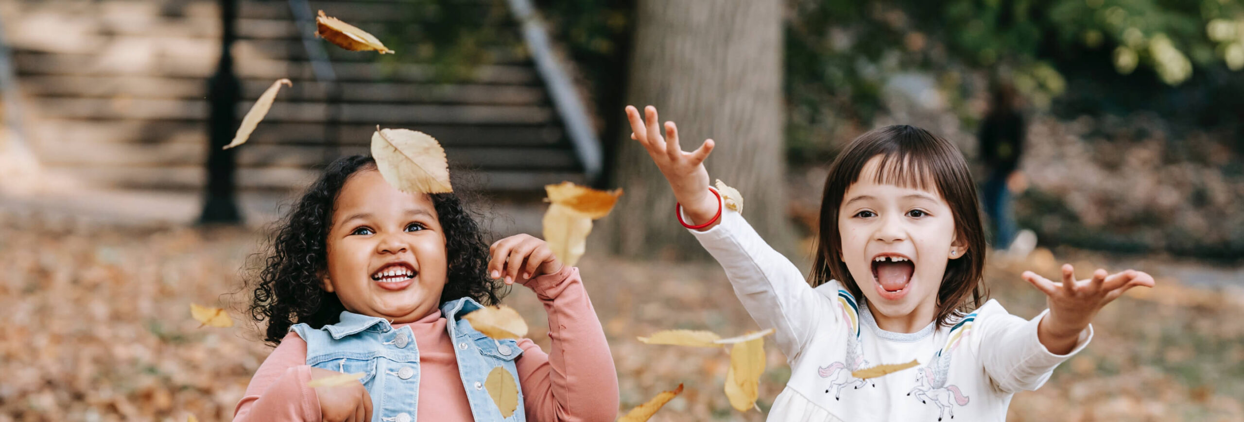 MEO Kid Clothing Shop 1 MEO Kid Clothing Shop -MEO Kid Clothing Shop Interior banner scaled